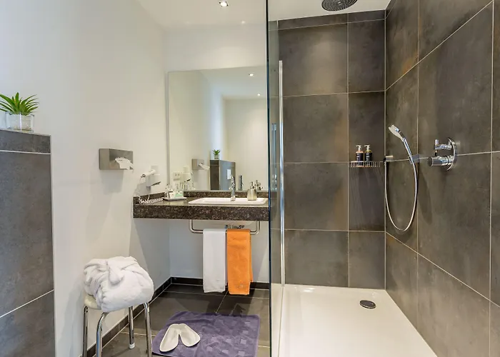 ホテル Bartmann 4*