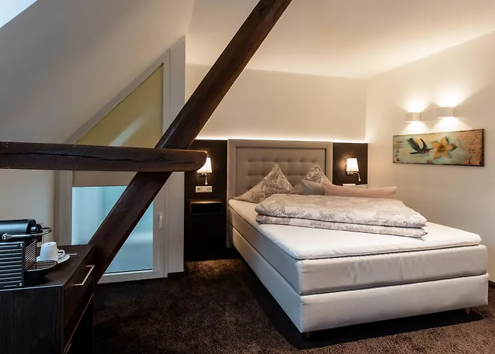 ホテル Bartmann 4*